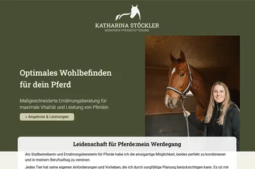 Screenshot/Foto vom Projekt